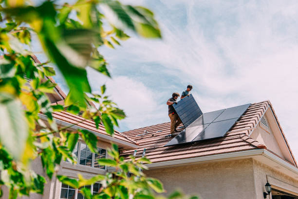 Best Roof Maintenance and Cleaning  in Ddleville, MI