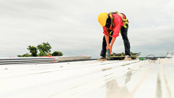 Best Roofing for New Construction  in Ddleville, MI
