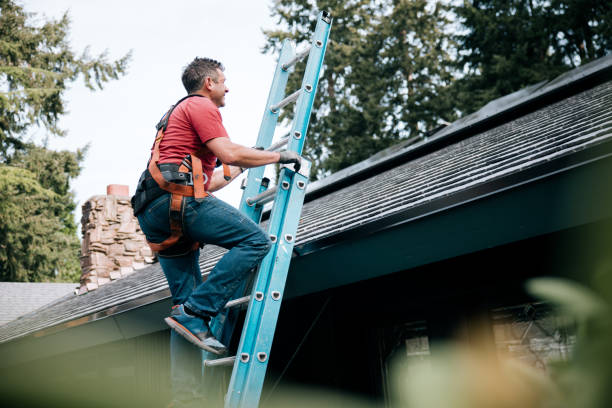 Best Flat Roofing  in Ddleville, MI