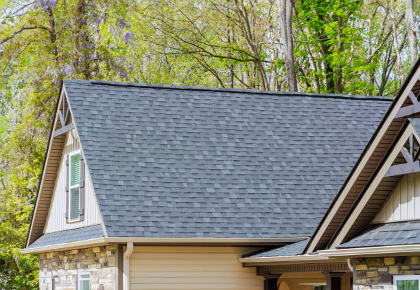 Best Slate Roofing  in Ddleville, MI